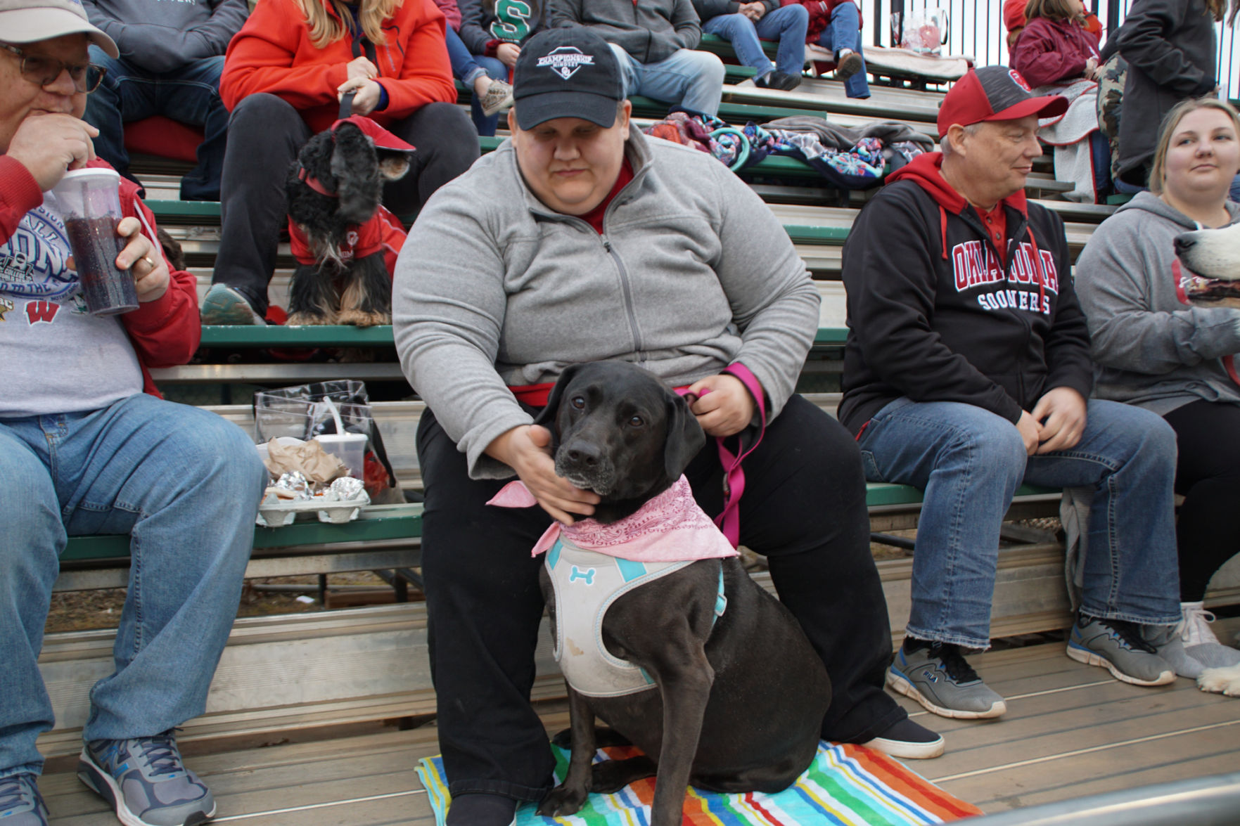 Bark in the Park